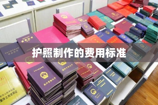 巩义护照制作的费用标准