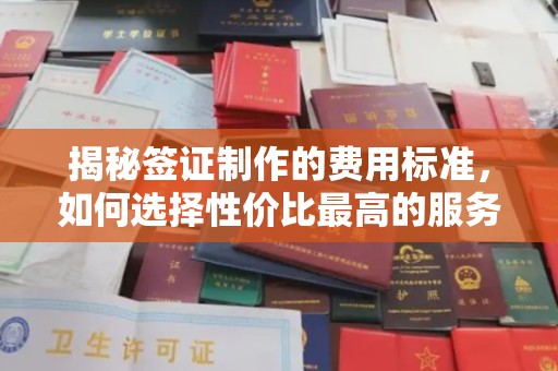 巩义揭秘签证制作的费用标准，如何选择性价比最高的服务？
