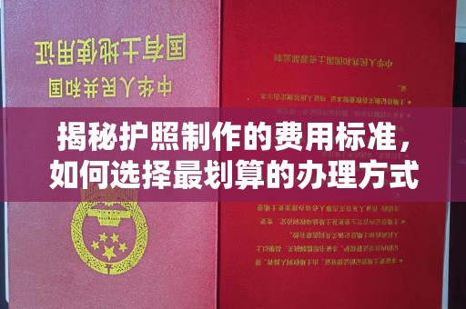巩义揭秘护照制作的费用标准，如何选择最划算的办理方式？