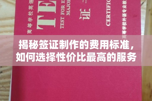 巩义揭秘签证制作的费用标准，如何选择性价比最高的服务？